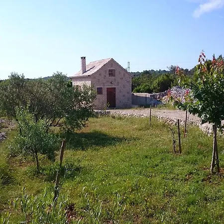 Feriehus Vacation Friday