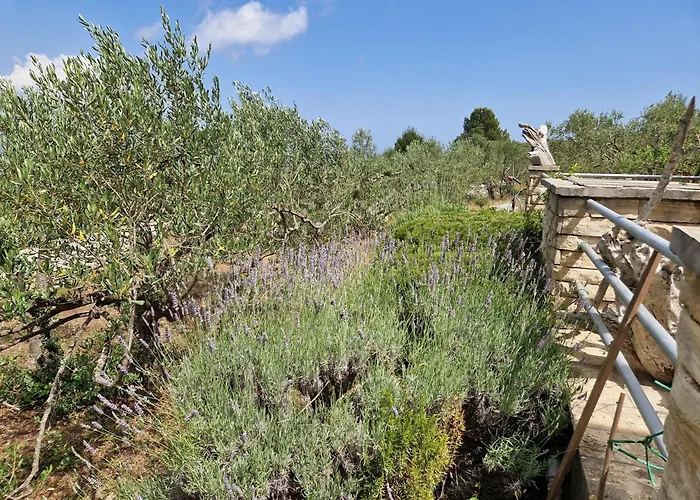 Vacation Friday Korcula Town