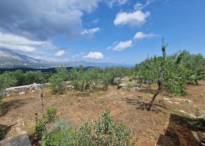 Vacation Friday Vikendica