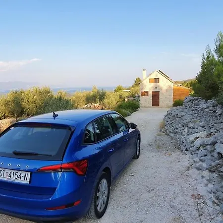 Vacation Friday Nyaraló *