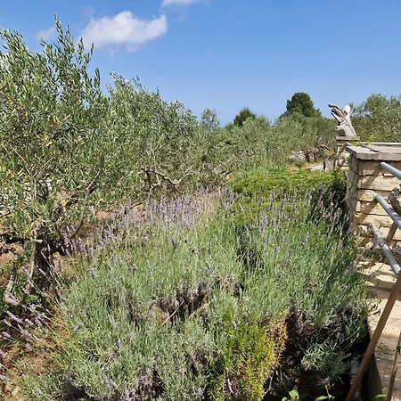 Vacation Friday Korčula