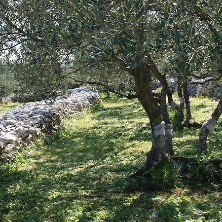 Vacation Friday * Korčula